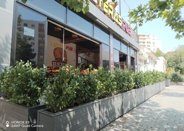 Bitkilər üçün dibçəklər: Restoranlar üçün dibçək qiymətlər fərqlidir Qiymət şərti qiymətdir — 5