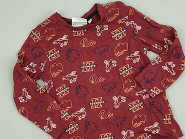 koszulka tottenham: Sweatshirt, Harry Potter, 2-3 years, 92-98 cm, condition - Perfect