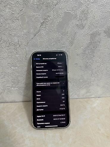 Apple iPhone: IPhone 15 Pro Max, Б/у, 256 ГБ, Natural Titanium, Чехол, 88 % — 9