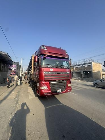 Тягач, DAF, Без прицепа