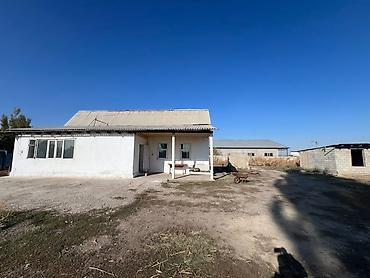 сарай для крс: Сдаю Сарай, 40 голов, 20 соток, Водопровод — 8