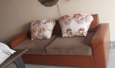 Otaq bitkiləri: Divan, İşlənmiş