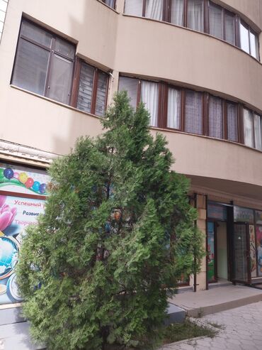 приобретение недвижимости в Кыргызстан | Недвижимость: 182 м², С мебелью