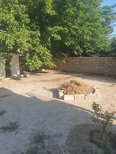 kapsul evler: Satılır: geniş həyəti və işıqlı məkanları olan fərdi yaşayış evi - — 5