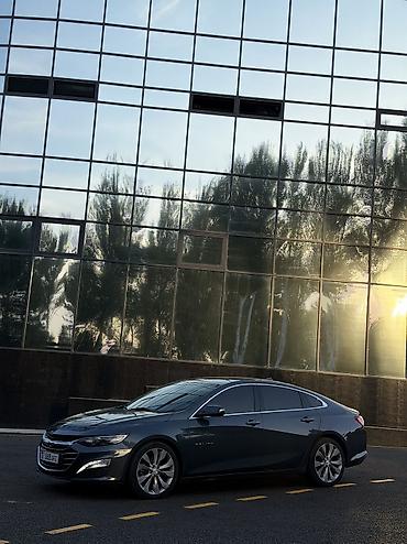 matiz 2013: Chevrolet Malibu: 2019 г., 2 л, Автомат, Бензин, Седан — 1