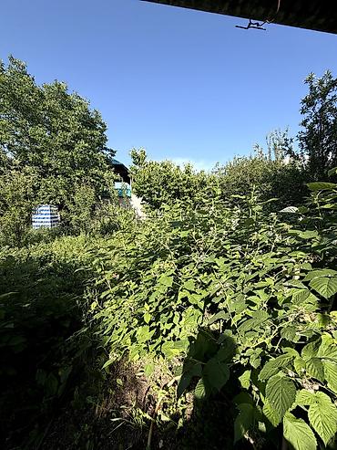 Продажа коттеджей и домов: 🏡 Продается дом в селе Сокулук (верхняя зона) ✨ Участок- 6 соток at lalafo.kg — 3 Продажа коттеджей и домов: 🏡 Продается дом в селе Сокулук (верхняя зона) ✨ Участок- 6 соток — 3