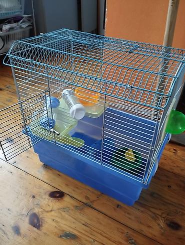 Gəmiricilər: Hamster,qus qəfəsidir.təcili satılır deyə ucuz satıram və 1cə parçası — 3
