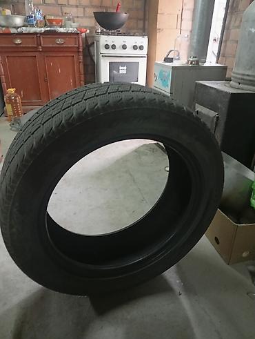 cordiant: Зимняя шина Cordiant Snow Cross FR-2 (ненашипованная) - Размер — 1