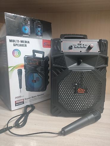 jbl original: Портативная акустика Sing-e ZQS808 с микрофоном - Формат — 1