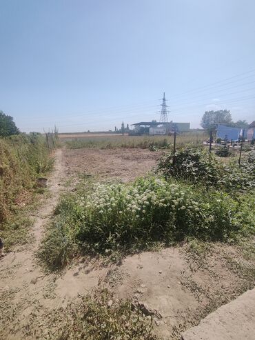 Продажа участков: 33 соток, Для бизнеса, Красная книга — 7