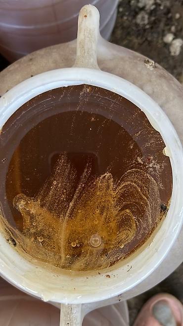 ысык куле: Мёд 🍯 горный токтогулский в Кара Балта — 4