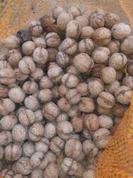 мебель из паллет бишкек: Продаю грецкий орех урожай 2025г