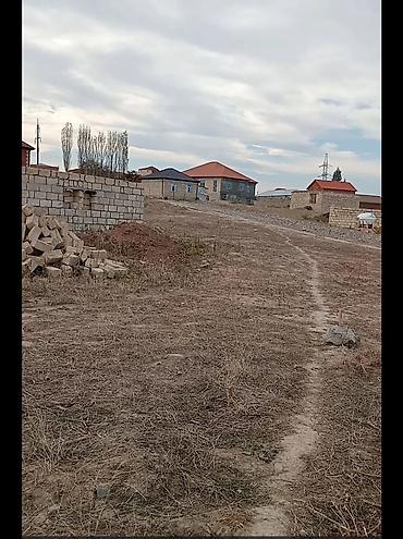 4 sot, Kənd təsərrüfatı, Mülkiyyətçi, Kupça (Çıxarış)