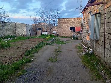 naxçıvanda ev satışı: Satilir ev orta temirlidi unvan xaşaxuna baqlari qiymeti razilaşma — 2