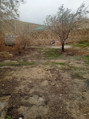 Yeni tikili: 2 otaqlı, Yeni tikili, 3 kv. m -da lalafo.az — 13 Yeni tikili: 2 otaqlı, Yeni tikili, 3 kv. m — 13