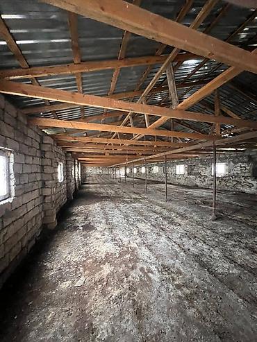 Kommersiya daşınmaz əmlakının satışı: 🔹 Satılır: Ferma – Xudat, Ləcət kəndi 🔹 ✅ Unikal fürsət! Xudat-Yalama — 3