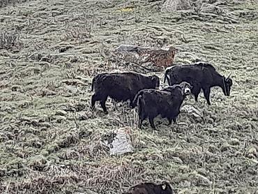 Туристические услуги: Экскурсии: -провожу индивидуальные экскурсии без ограничения времени — 2