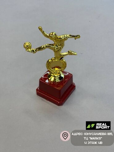 Другое для спорта и отдыха: Кубки, статуэтки, номинации. Золотые кубки, статуэтки, номинации, а — 6