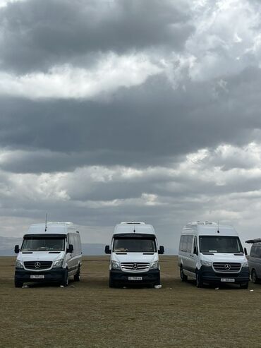 взять в аренду машину для такси: Пассажирские микроавтобусы Mercedes-Benz Sprinter - Тип
