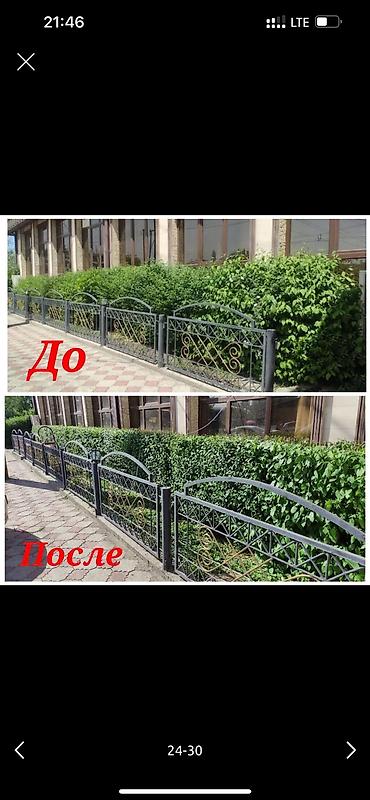 Дворники, садовники: 🌱Я Садовник Стрижка Живой изгородь,самшит,Туи,хвойные растения, Я — 24