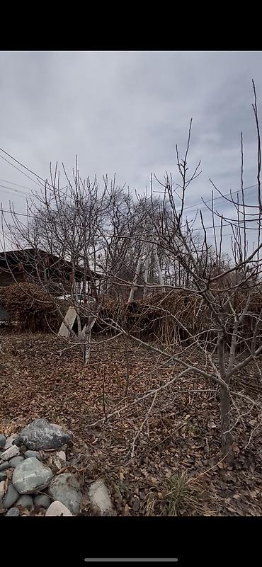 Продажа участков: 5 соток, Договор купли-продажи, Тех паспорт at lalafo.kg — 1 Продажа участков: 5 соток, Договор купли-продажи, Тех паспорт — 1