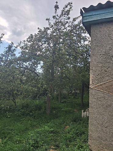 модыльный дом: 2 дома на участке. Есть возможность обмена на другую недвижимость — 4