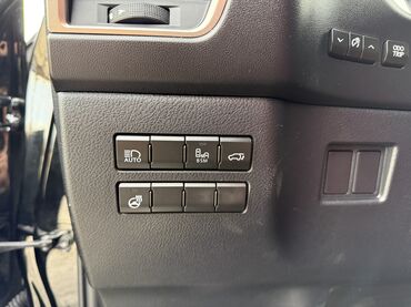 Lexus: Lexus NX: 2019 г., 2 л, Бензин, Кроссовер — 15