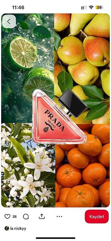 alt paltarları: 50 ml yağ əsaslı ətirlər - Növlər: Prada Paradoxe Intense, Giorgio — 2
