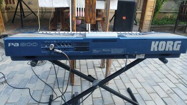 Gitaralar: Sintezator, Korg