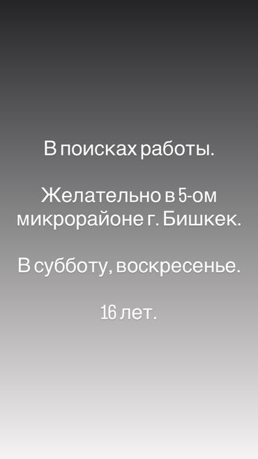 работа в венгрии 2023: Бариста