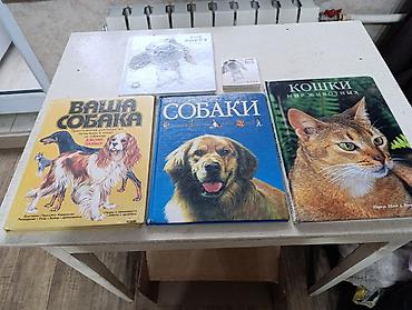 Другие книги и журналы: Подборка книг и материалов разной тематики.Книги по школьной — 20