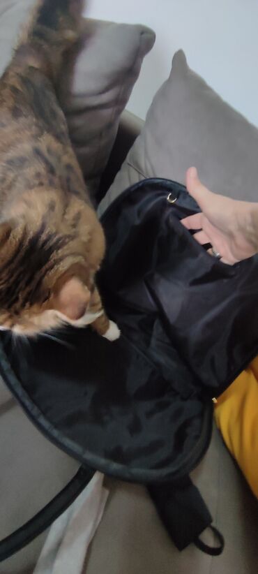 Torbe: Nove poslovne tasne.Braon odlicno organizirana 2000 din.Crna 1500 — 13