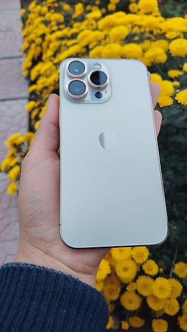 IPhone 13 Pro, Б/у, 256 ГБ, Серебристый, Зарядное устройство