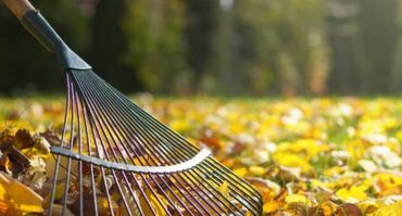 Другие услуги: Сделали ландшафтный дизайн? Нужно поддерживать его в идеальном — 6