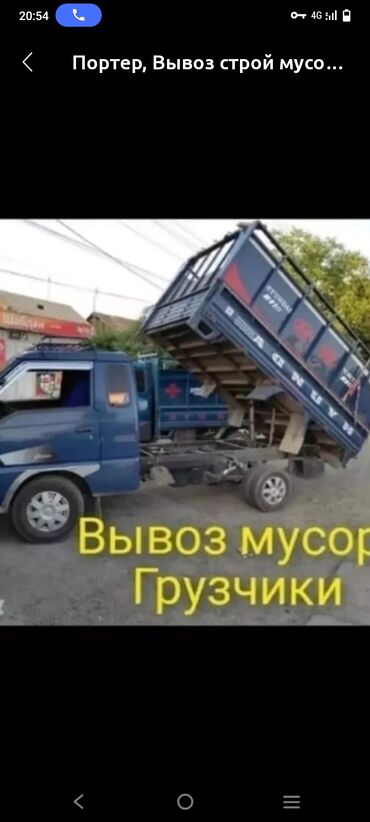 Грызуны: Вывоз мусура вывоз мусура вывоз мусура вывоз мусура вывоз мусура вывоз