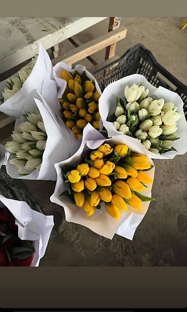 Букеты из живых цветов: 🌷 ТАКОЙ ЦЕНЫ В КЫРГЫЗСТАНЕ НЕТ 🌷 Голландские тюльпаны — 100 сом от 10 — 4