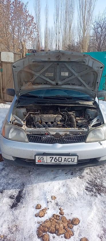 Toyota: Toyota Vitz / Platz / Yaris / Echo: 2000 г., 1.5 л, Механика, Бензин, Седан — 9