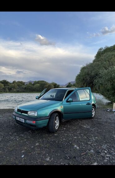 дом на обмен: Volkswagen Golf: 1992 г., 1.8 л, Механика, Бензин, Хэтчбэк