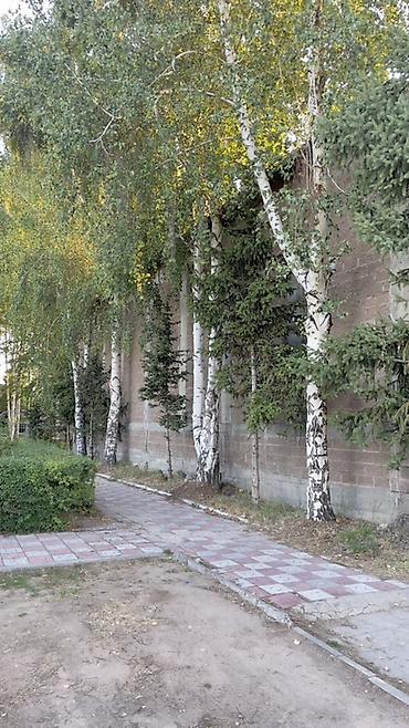 Продажа зданий: Здание, 1072 м² — 11