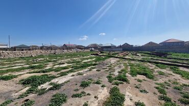 Torpaq sahələrinin satışı: 120 sot, Mülkiyyətçi, Kupça (Çıxarış) — 3