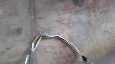 auto otpad becej: ALFA 147 CEVI CREVA SERVA | Skinuta sa alfe 147 — 4
