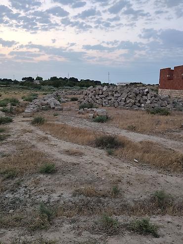 Tikinti