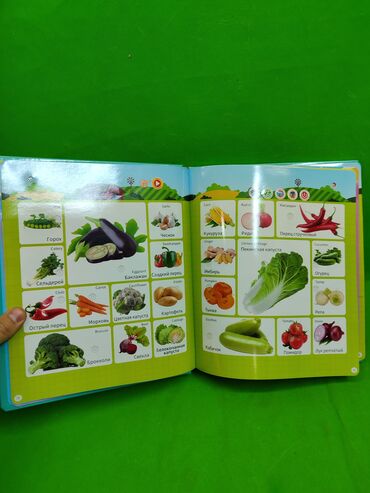 Детские книги: Книга музыкальная для развития ребенка📚 Комплектация товара — 8