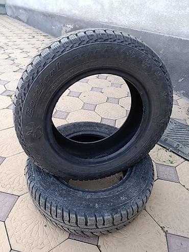 maxxis 980: Зимний R14 175/70 6000сом — 1