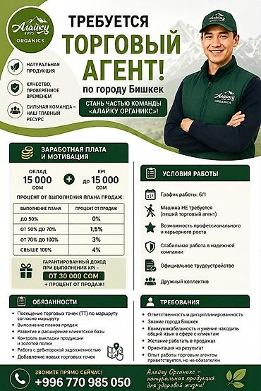 торговый агент сокулук: Требуется Торговый агент, График: Шестидневка, Без опыта, Официальное трудоустройство, Полный рабочий день — 1