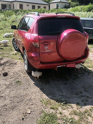 koreyadan avtomobil getirmek: Toyota RAV4: 2 l | 2006 il Krossover — 4