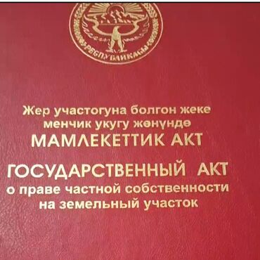 Жер тилкелерин сатуу: 30 соток, Бизнес үчүн, Кызыл китеп, Техпаспорт, Сатып алуу-сатуу келишими