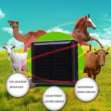 аккумуляторы для ибп 2 а ч: GPS трекер для овец, лошадей, коров, собак. Модель V26-ZC Мини. Это