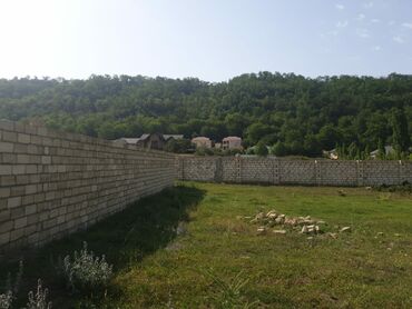 Torpaq sahələrinin satışı: 15 sot, Kənd təsərrüfatı, Mülkiyyətçi, Kupça (Çıxarış) — 3