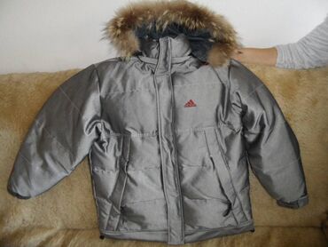 kožne jakne sa krznom: Jacket L (EU 40)